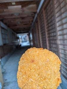 季節料理 井筒亀