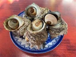 波戸岬サザエのつぼ焼き売店