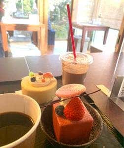 カカオ果 五日市本店