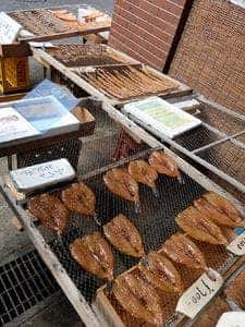 魚竹
