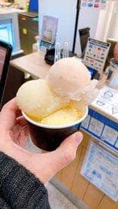 ジェラート ナチュレ ドゥーエ