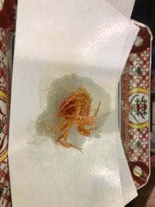 天ぷら 荒川 浦和ロイヤルパインズホテル