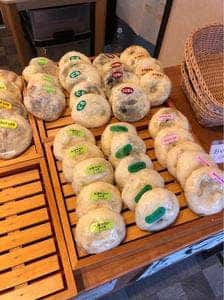鈴木蛍雪堂
