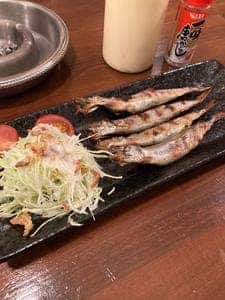 茶々丸