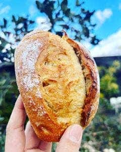 トラットリア ステラート