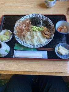 もりの樹