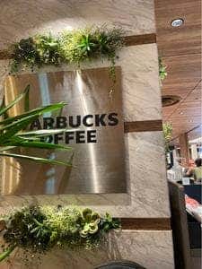 スターバックス コーヒー 横浜モアーズ8階店