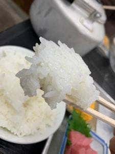 銀シャリ屋 ゲコ亭