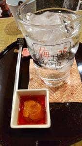 梅干しサワー専門店シモキタ