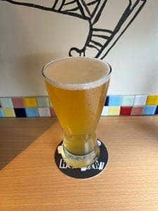 ライオットビール
