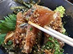 竜宮の鯖
