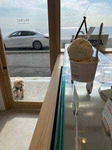 HOLIDAY ICE CREAM STORE