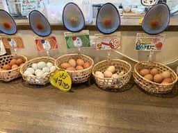 内子まちの駅 Nanze これか卵