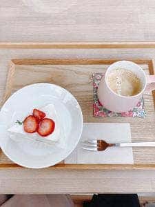 CAKE NATURE ASHIYA