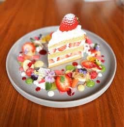 Kuche メルセデスベンツ和歌山