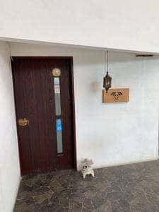 四季の味 ぎんなん