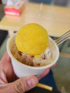 島のアイスクリーム屋『トリトン』
