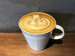 Beasty Coffee cafe laboratory