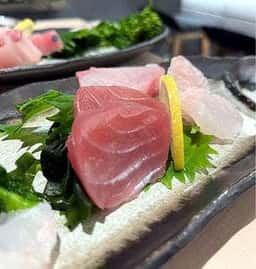 四季の日本酒と鶏と肴わしゅまる