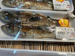 魚次三