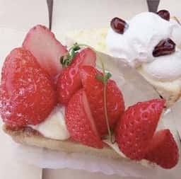 nomiya ノミヤ洋菓子店 五席酒場ノミヤ
