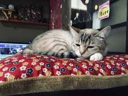 手打ちそば 雪むろ