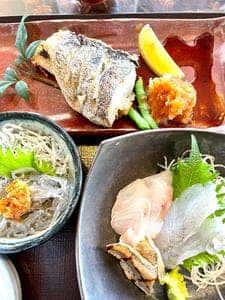 しらす＆腰越の地魚料理 しらすや