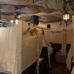 オレンジツリー