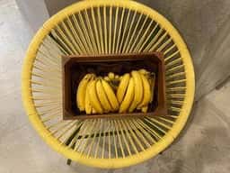 Juice stand BOKUNO BANANA