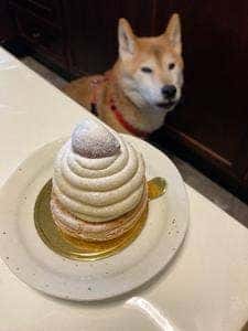パティスリーポワソン