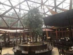 べるが森のレストラン Le Alpi