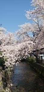 比日氣