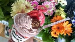 農マル園芸 あかいわ農園