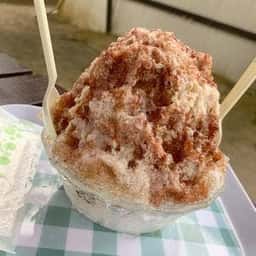 しまのこかげ