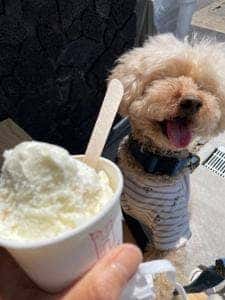 HOLIDAY ICE CREAM STORE