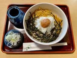 孫新