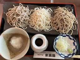 東風園