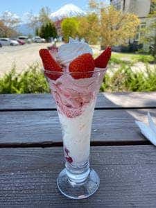 オルソンさんのいちご