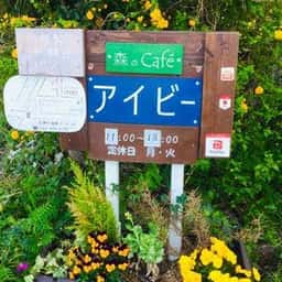 森のカフェ アイビー