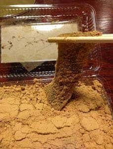 洛叉庵