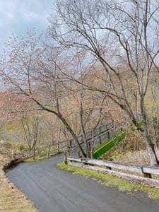 エムズゴルフクラブ レストラン