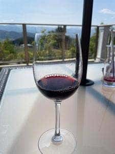 Bottega sunsun winery