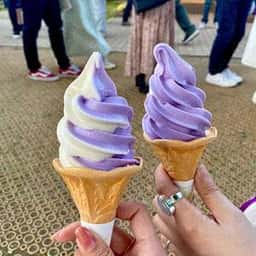 あしかがフラワーパーク フードテラス