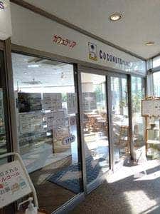 ココナッツ・アイランド中央植物園店
