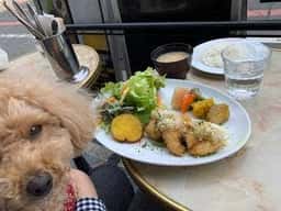 ランス・ジャポネ