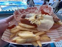 アドベンチャーワールドマリンブルー