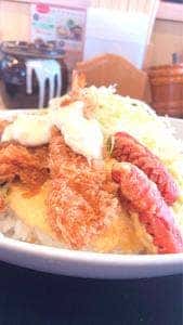 かつや 岡山富田店