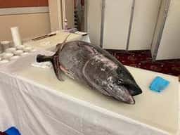 プラザホテルむつ