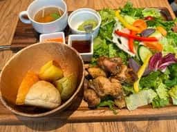 おやさいガーデン TIERRA 阪急梅田店