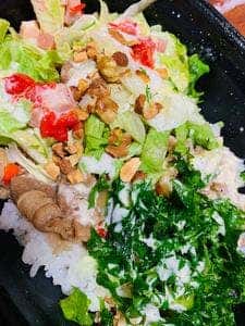 すき家 8号加賀加茂店